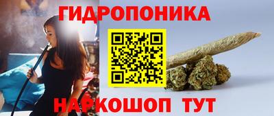 молекула духа Краснодар