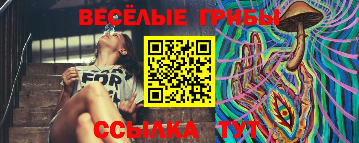 Псилоцибиновые грибы Psilocybine cubensis Кемерово